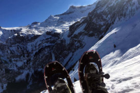 Schneeschuh-Erlebniswanderung