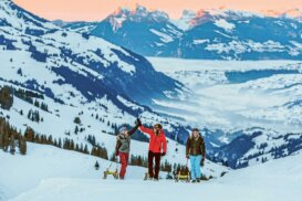 Nachtschlitteln unter dem Sternenhimmel