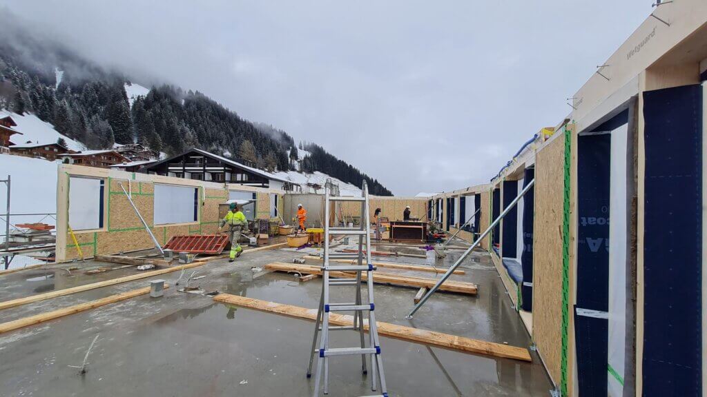 WhatsApp Image 2025-01-31 at 14.50.47