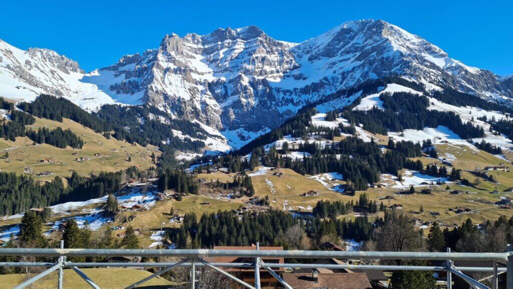 WhatsApp Image 2025-03-04 at 09.26.35