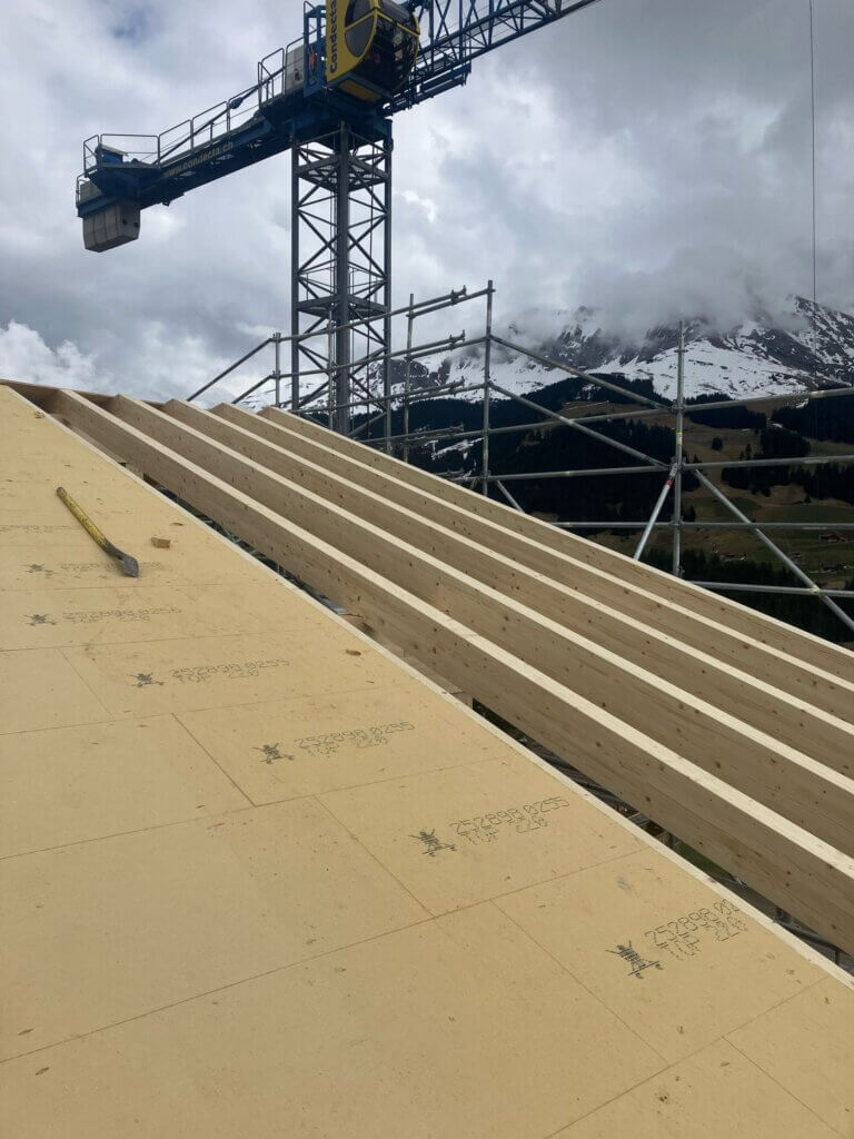 WhatsApp Image 2025-03-24 at 17.01.18