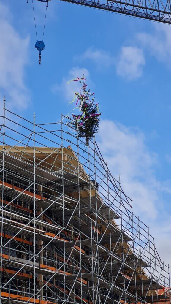 WhatsApp Image 2025-03-25 at 16.26.29