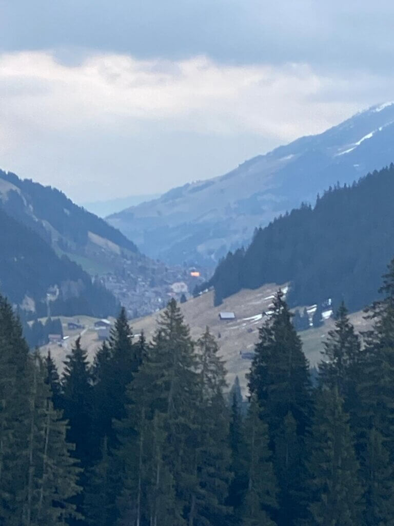 WhatsApp Image 2025-03-25 at 18.17.19